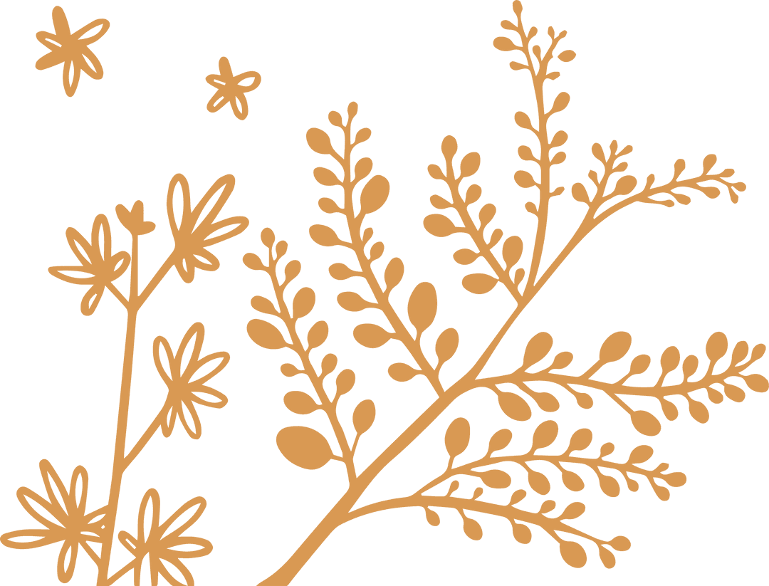 Botanical Plant Motif on Transparent Background for Decor