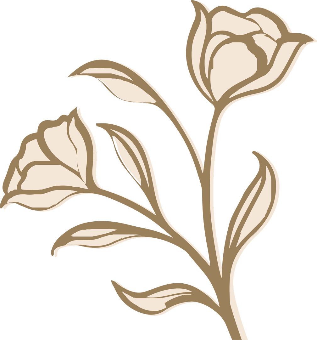 Botanical Floral Motif with Branches and Leaves on Transparent Background