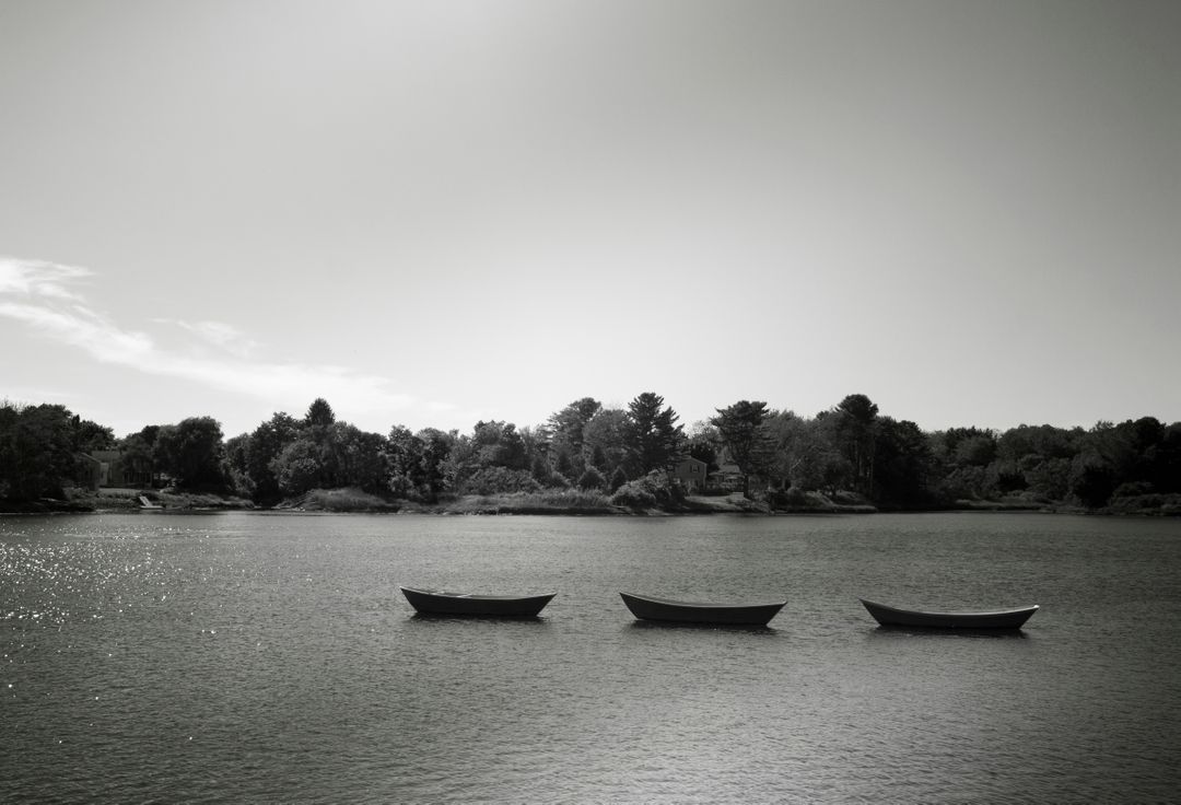 Calm Lake with Three Rowboats at Sunrise with Tree Line on Horizon in Black and White - Free Images, Stock Photos and Pictures on Pikwizard.com
