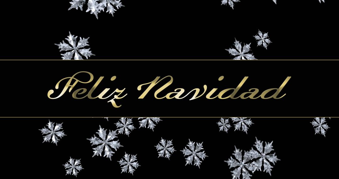 Elegant Feliz Navidad Greeting with Snowflakes and Black Background