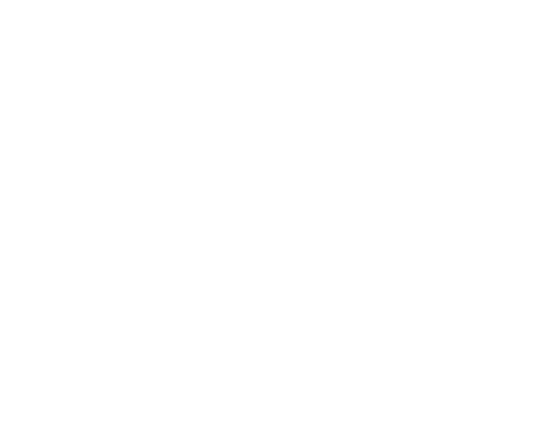 Pedigree Chart Transparent Flow Design Close-Up