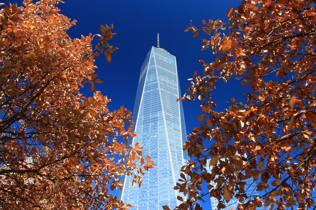 One World Trade Center Tower Framed by Autumn Leaves - Free Images, Stock Photos and Pictures on Pikwizard.com