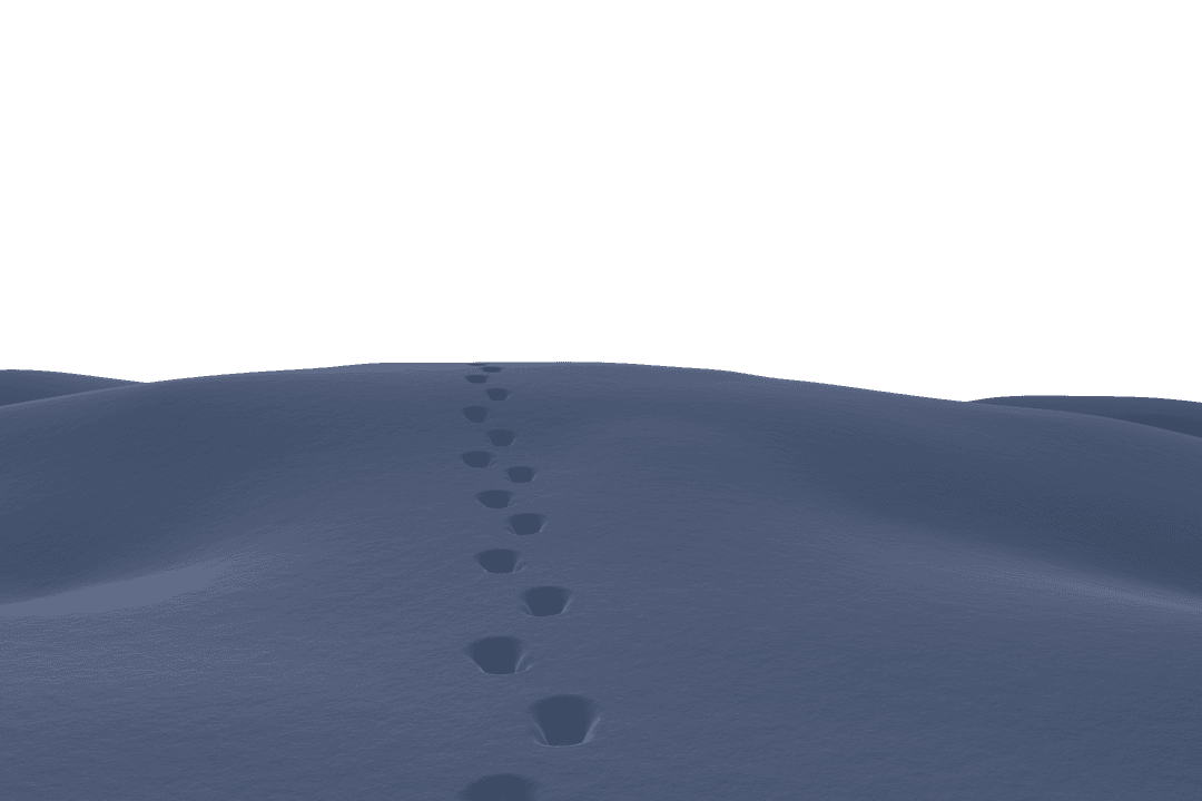 Footprints in Pristine Snow on Transparent Background