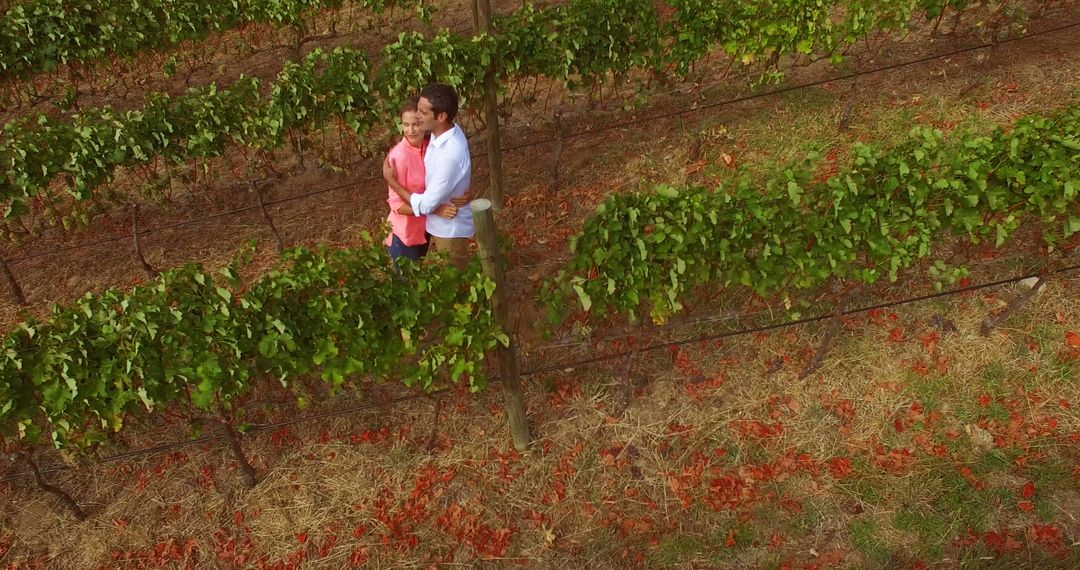 Drone image of couple hugging in wine farm  - Free Images, Stock Photos and Pictures on Pikwizard.com