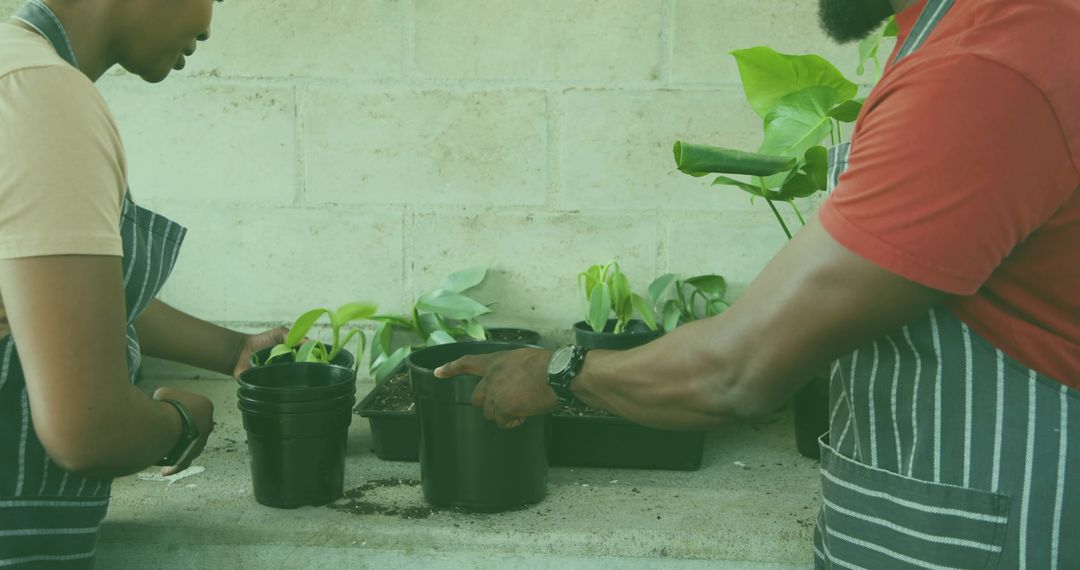 Coworkers Transplanting Seedlings Together at Potting Bench