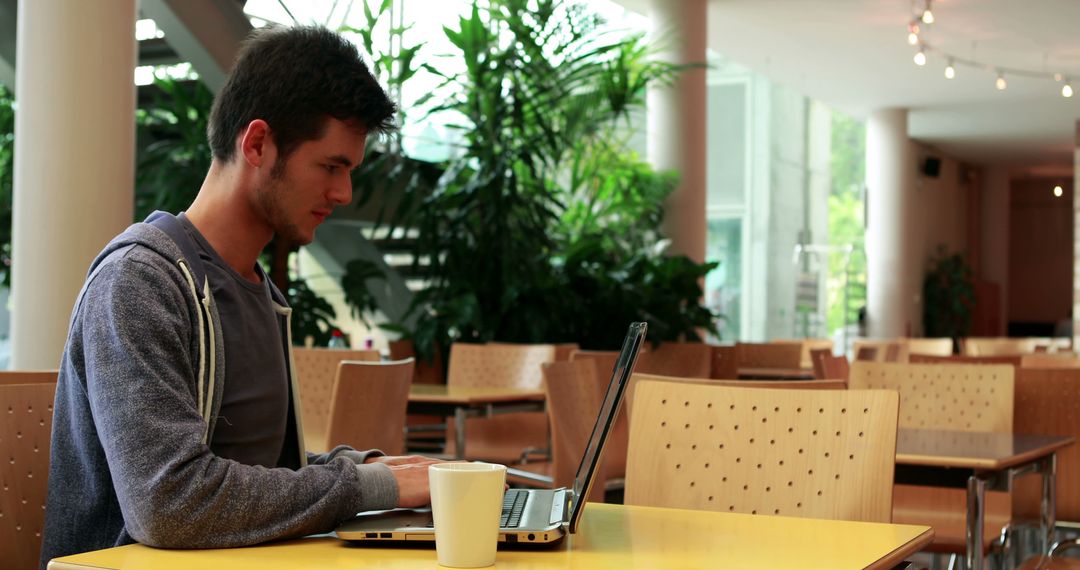 Young Man Working on Laptop in Modern Cafe with Coffee - Free Images, Stock Photos and Pictures on Pikwizard.com