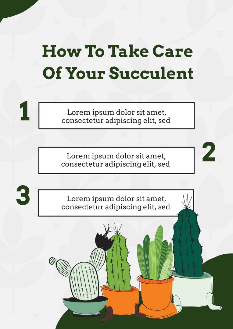 Guide to Caring for Your Succulent With Decorative Cactus Infographic