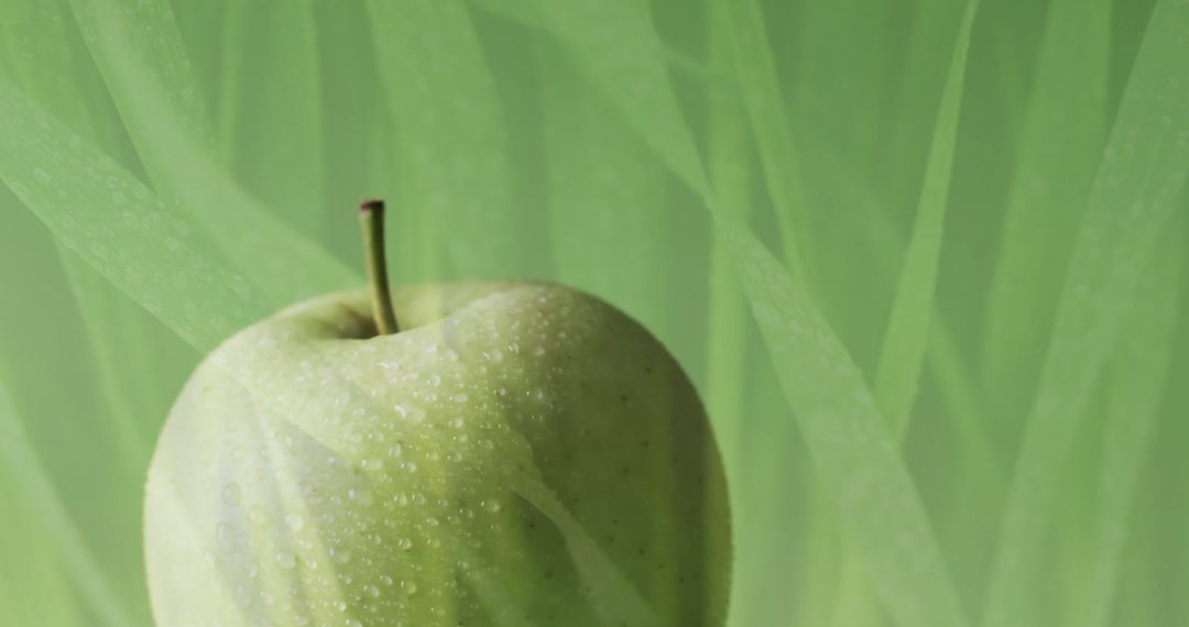 Fresh Green Apple with Dew Against Vibrant Grass