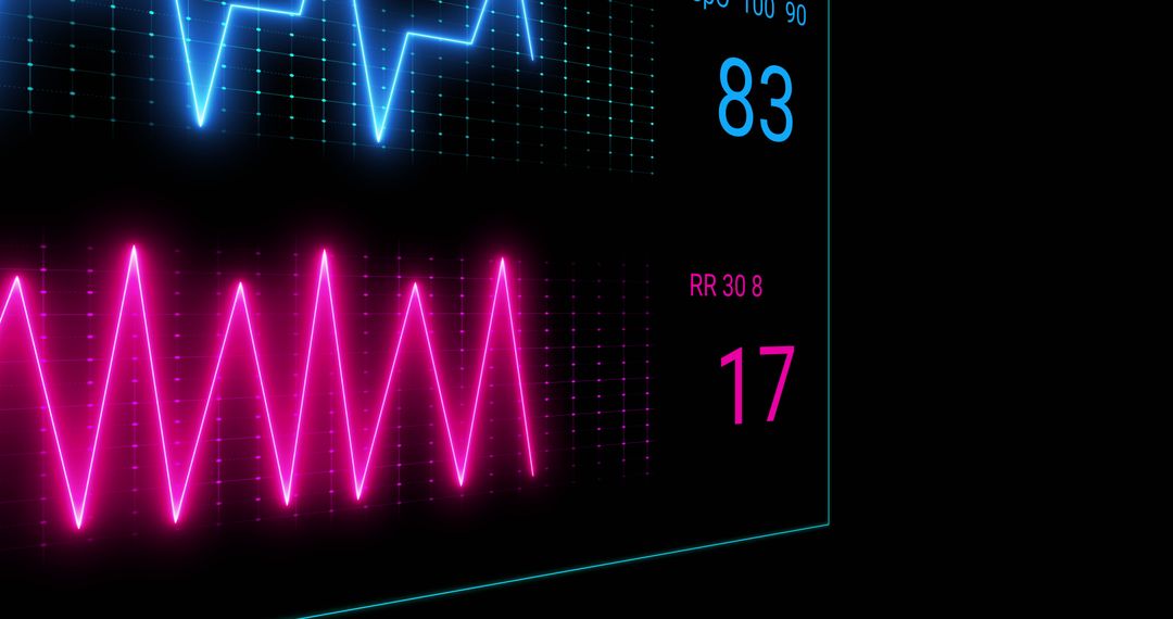 Digital Heart Rate Monitor Interface Display