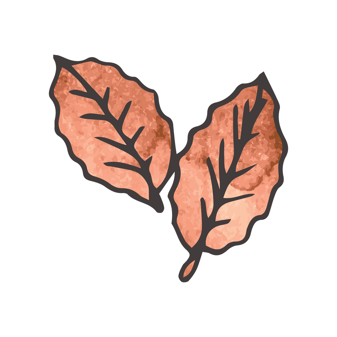 Red Autumn Leaves Vector on Transparent Background