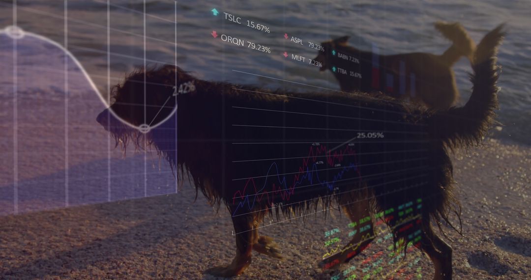Digitally Generated Data Overlay Across Dogs Strolling Beach