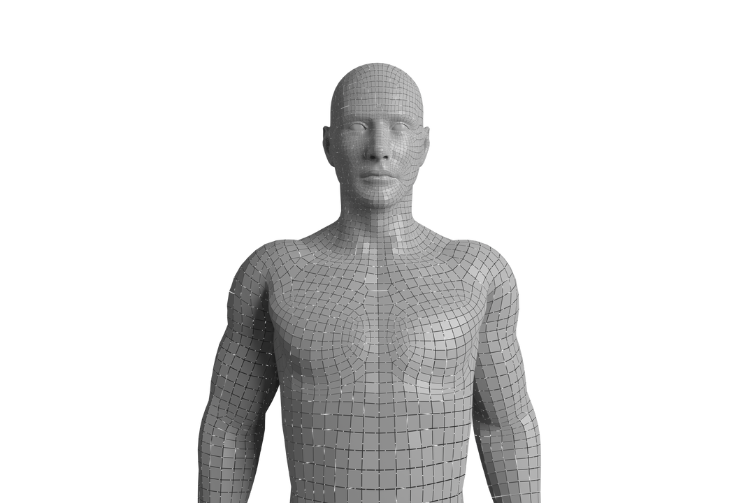 Digital 3D Model of Human Figure on Transparent Background for Computing and Technology - Download Free Stock Images Pikwizard.com