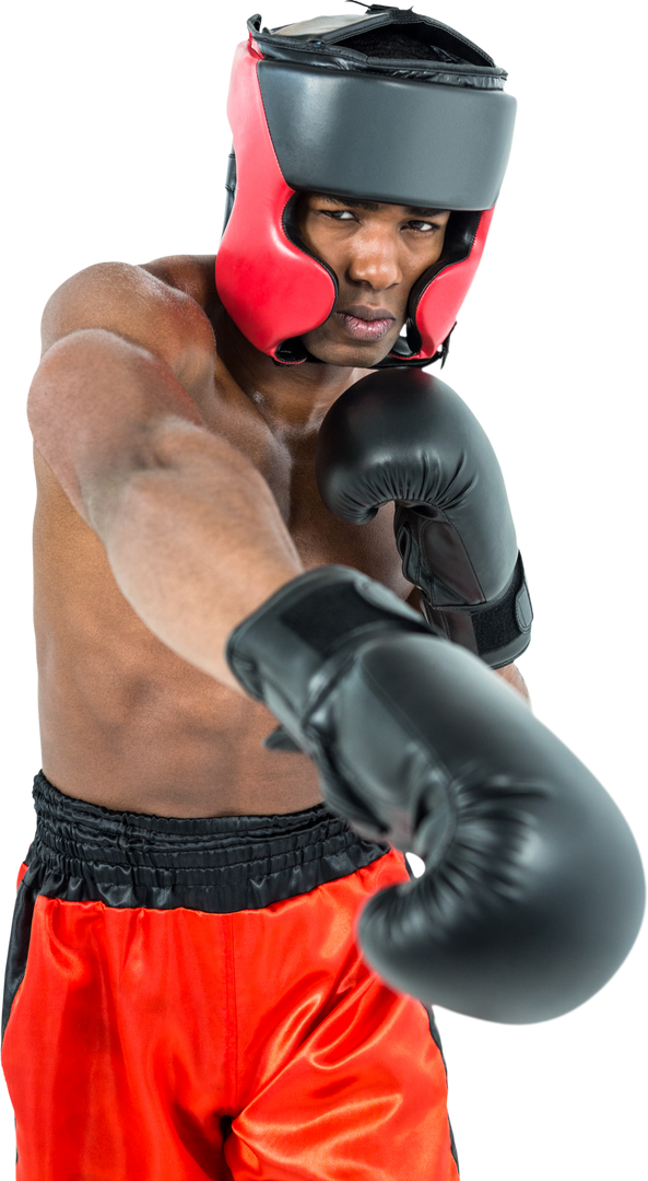 Male Boxer in Transparent Background Throwing Punch - Download Free Stock Images Pikwizard.com