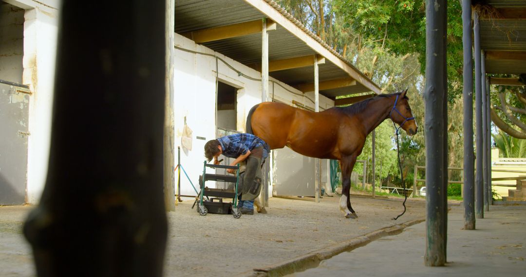 A middle-aged man tends to chores in a stable, with a chestnut horse nearby, with copy space - Free Images, Stock Photos and Pictures on Pikwizard.com