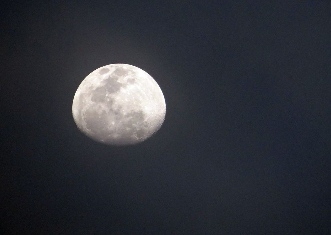 Low Angle View of Moon Against Sky at Night - Free Images, Stock Photos and Pictures on Pikwizard.com