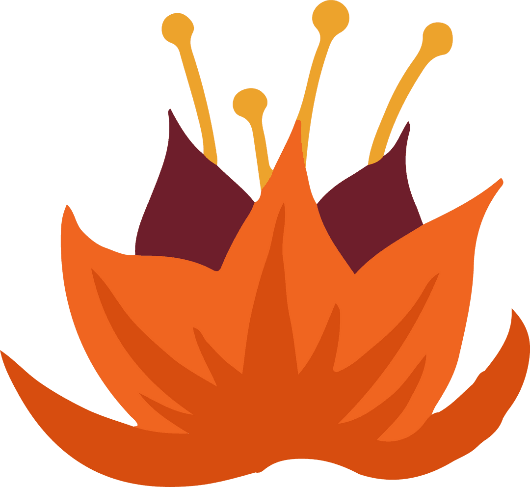 Vibrant Abstract Flower with Orange Petals and Transparent Background