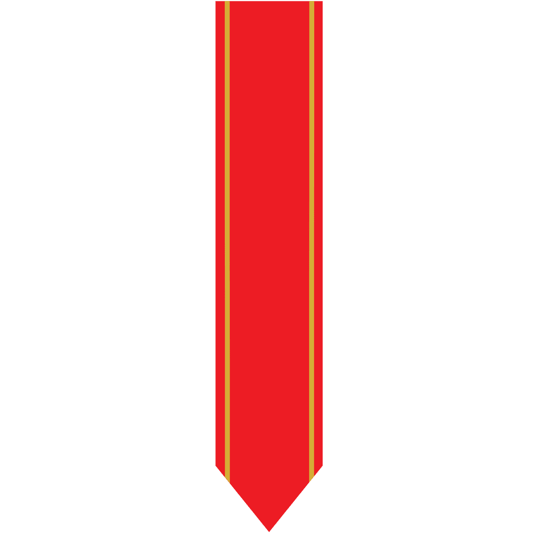 Red Banner with Gold Lines on Transparent Background