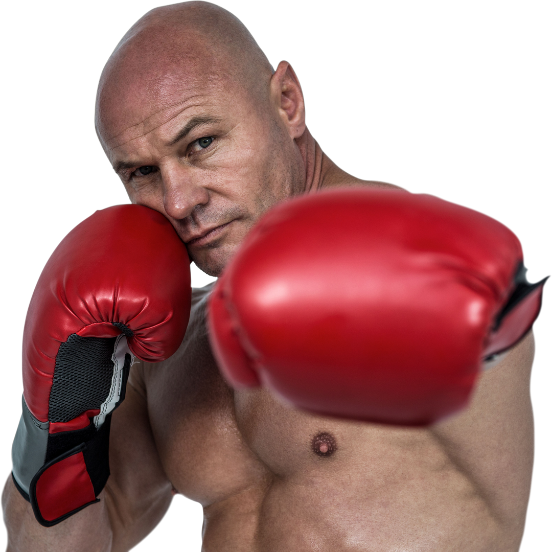 Powerful Punch Boxer in Fighting Stance with Red Gloves. Transparent Background - Download Free Stock Images Pikwizard.com