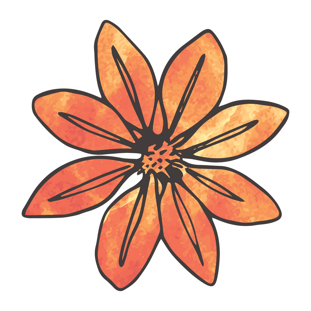 Orange Flower Line Art on Transparent Background