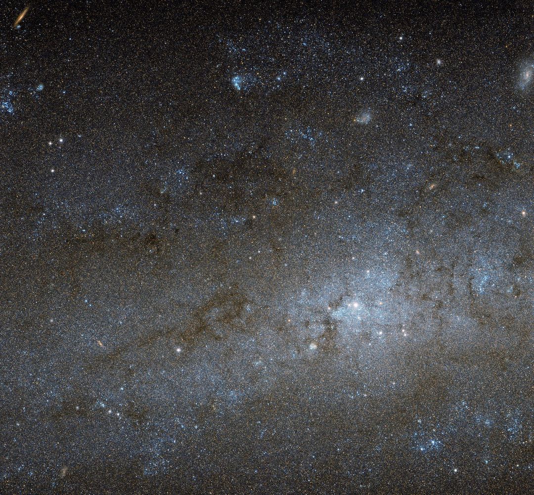 Hubble View of Spiral Galaxy NGC 247's Central Region - Free Images, Stock Photos and Pictures on Pikwizard.com