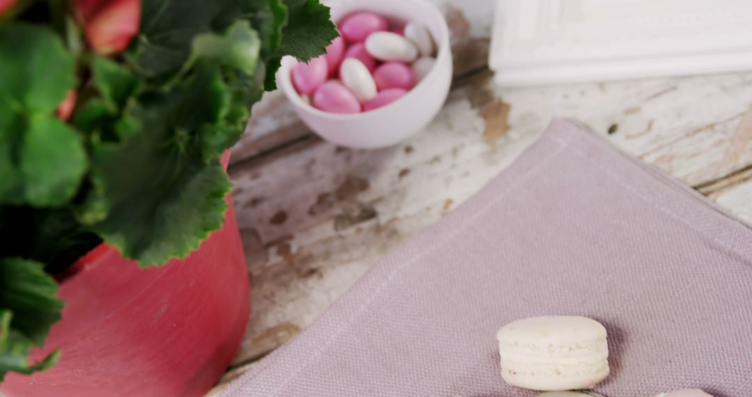 Pink Potted Plant with White Macaron and Candy in Bowl on Rustic Table - Free Images, Stock Photos and Pictures on Pikwizard.com