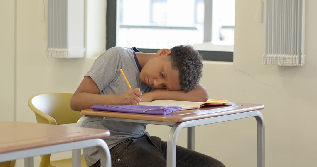 Young Boy Studying During Class in School Room