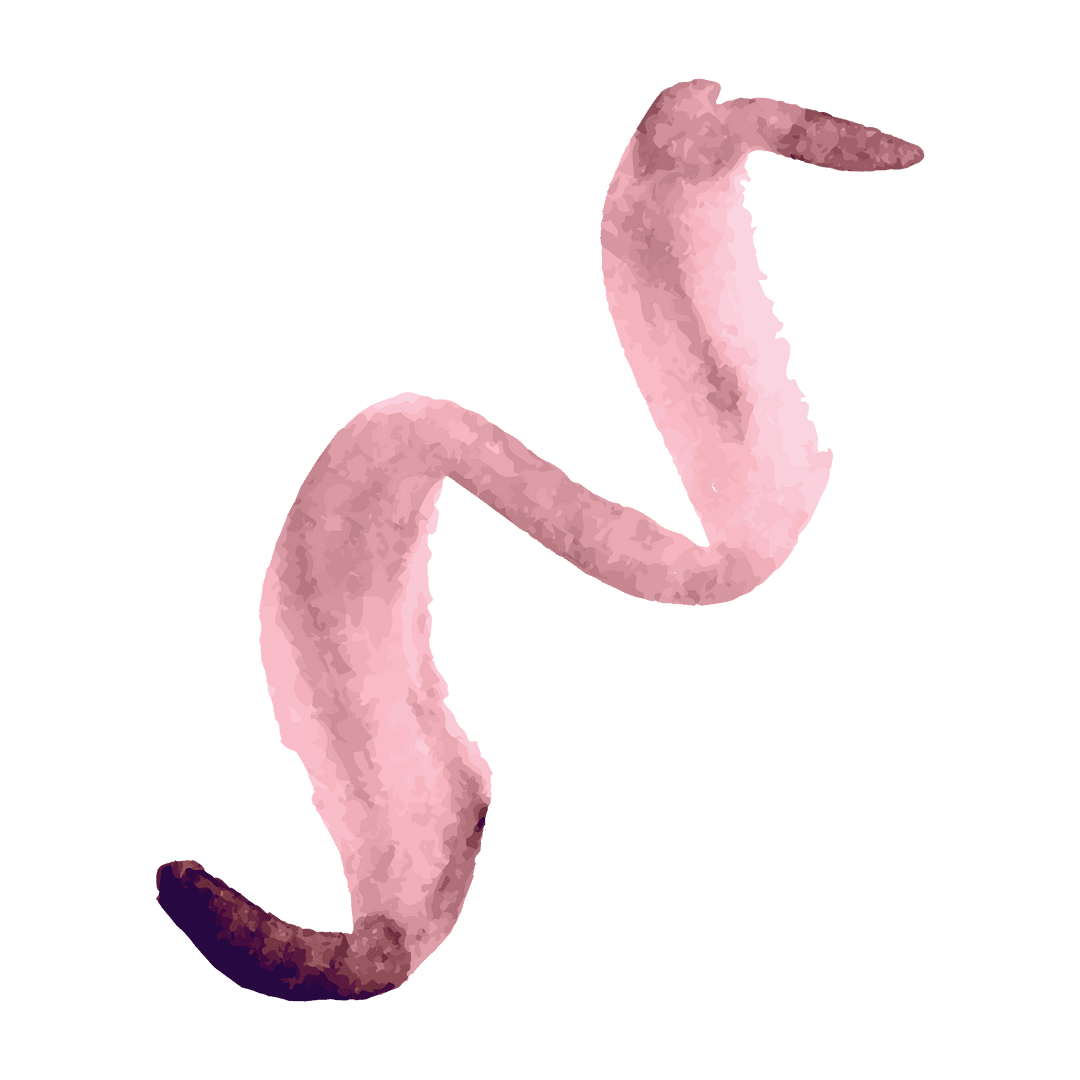 Abstract Twisting Pink Brushstroke on Transparent Background