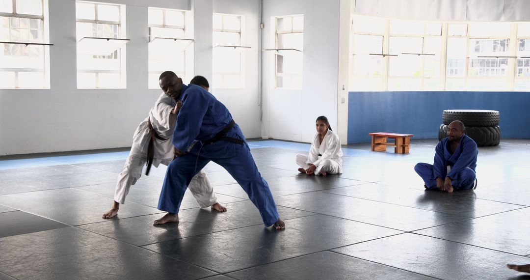 Martial Arts Students Practicing Grapples in Dojo