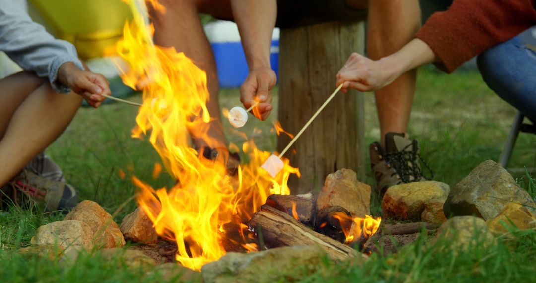 Family Roasting Marshmallows Over Campfire on Summer Evening - Free Images, Stock Photos and Pictures on Pikwizard.com