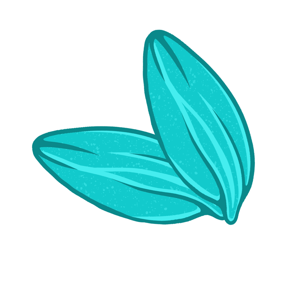 Turquoise Seed Pods Overlapping on Transparent Vector Background