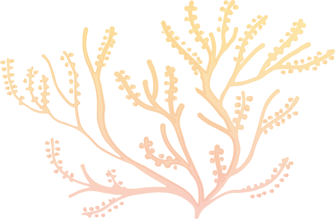 Transparent Botanical Illustration with Soft Yellow Branches