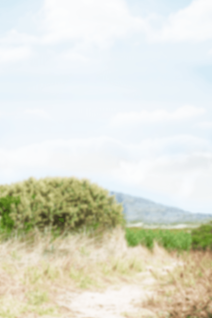 Transparent Meadow Landscape with Blue Sky and Field