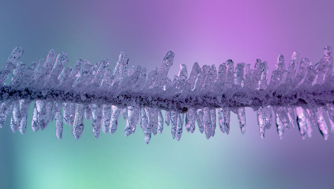 Shimmering Frost Coating Forming Icicle Spikes on Twig with Pastel Gradient Bokeh