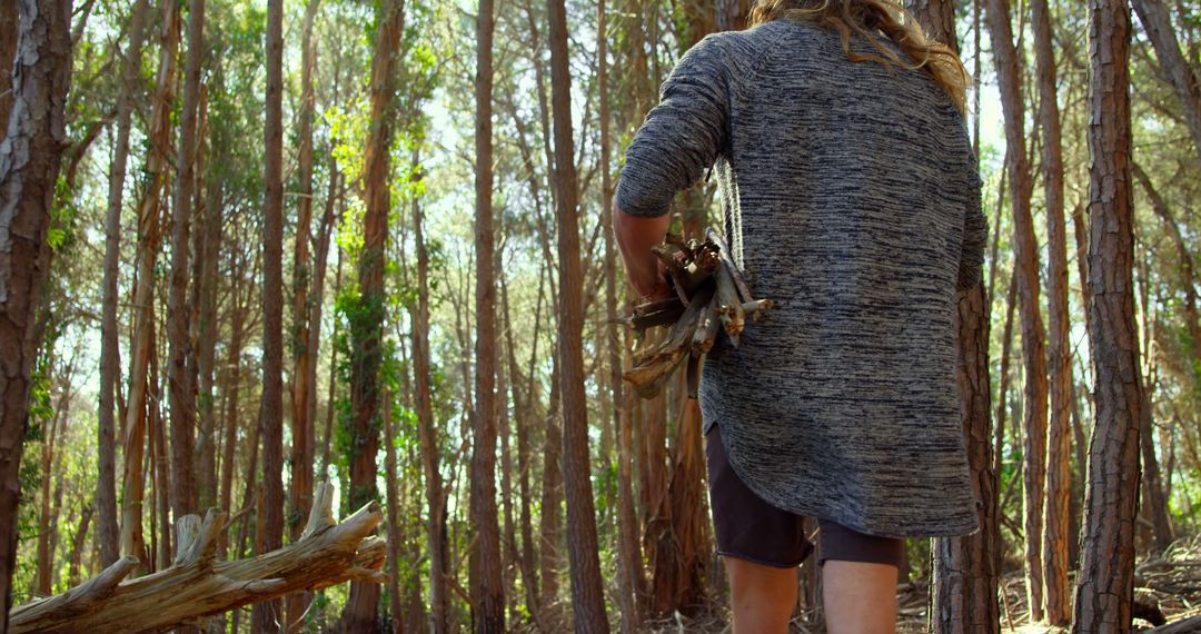 Person Collecting Firewood in Dense Forest - Free Images, Stock Photos and Pictures on Pikwizard.com