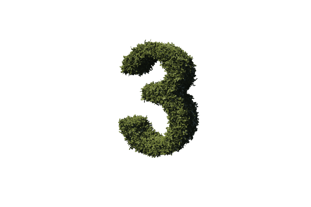 Green Leafy Number 3 on Transparent Background Eco Theme