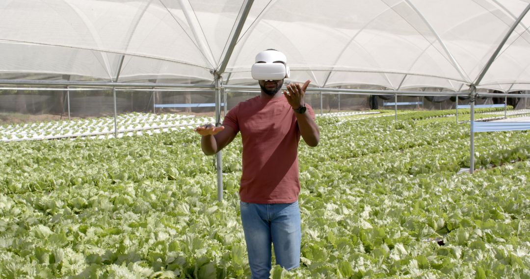VR Technology in Modern Hydroponic Farming