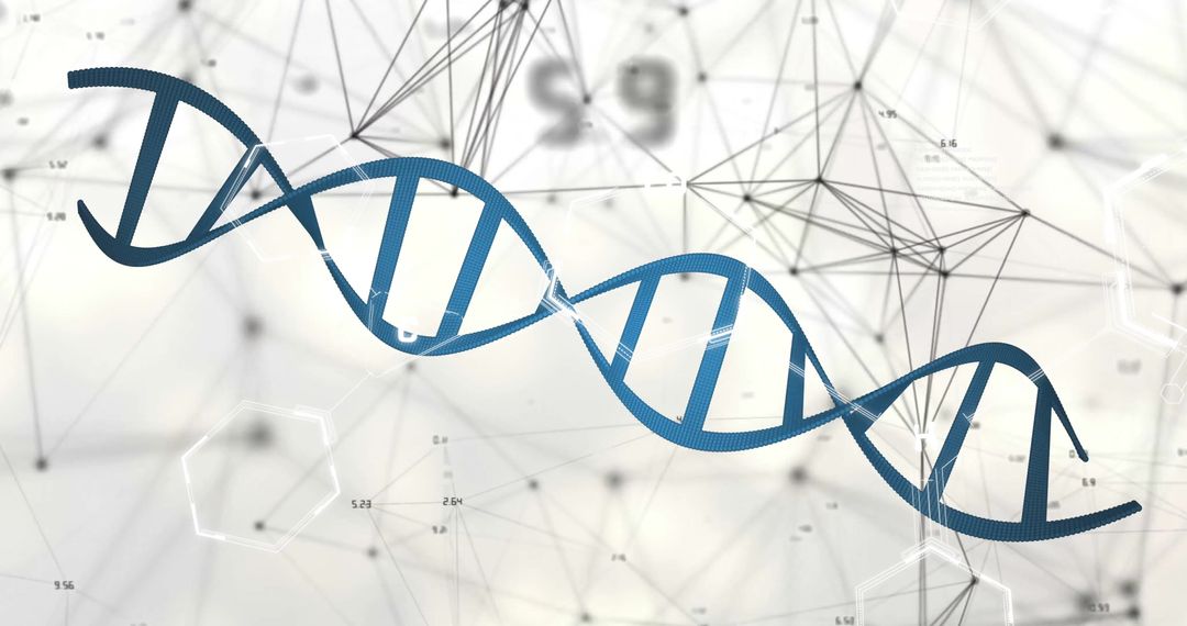 Digital DNA Strand with Geometric Network Connections