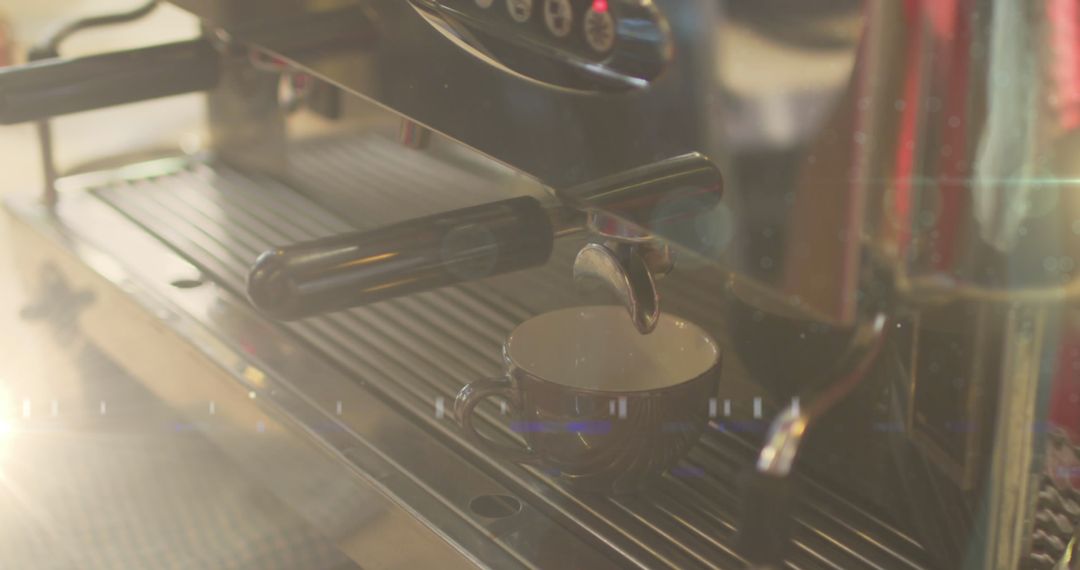 Barista Preparing Fresh Coffee in Café