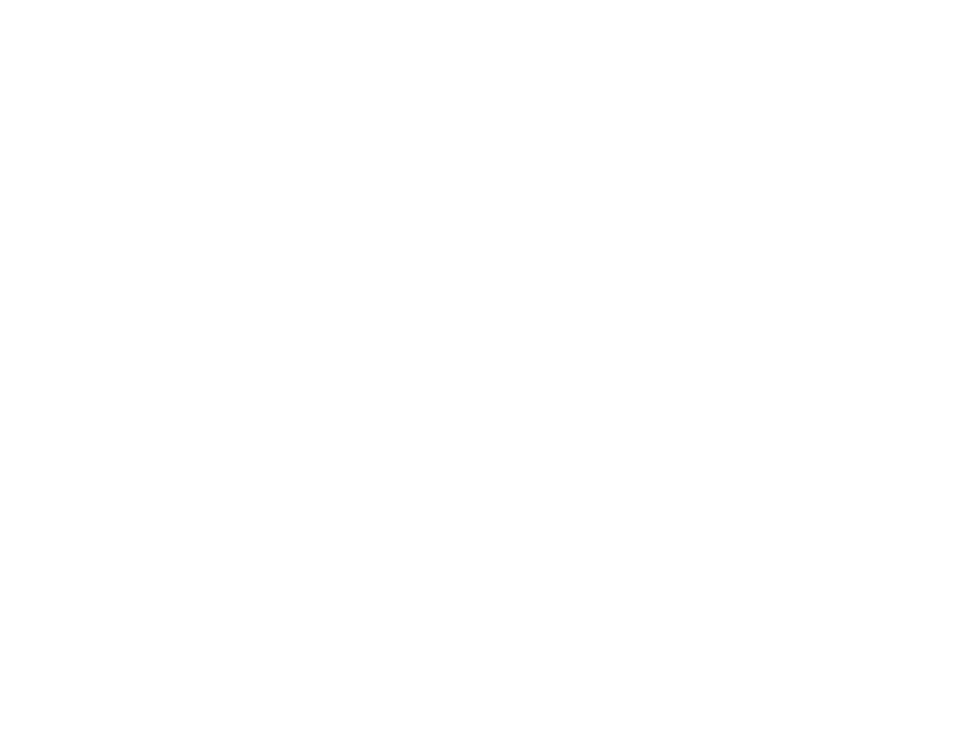 Martial Artist Silhouette Performing Kata on Transparent Background - Download Free Stock Images Pikwizard.com