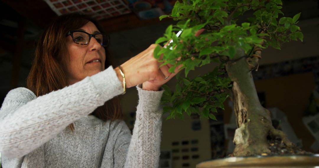 Woman Pruning Bonsai Tree Indoors - Free Images, Stock Photos and Pictures on Pikwizard.com