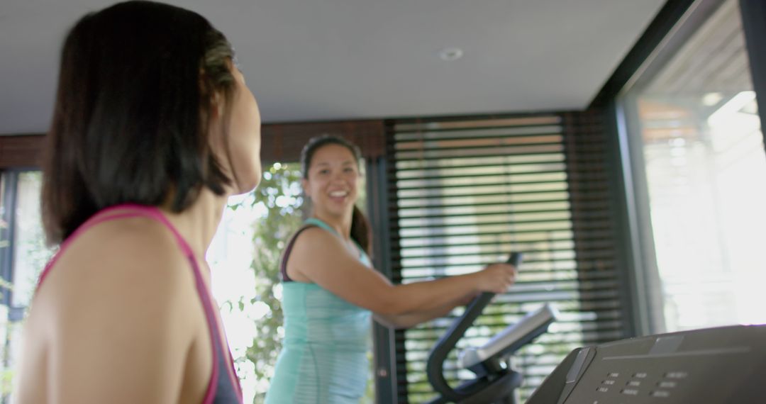 Women Exercising on Elliptical Machines Indoors - Free Images, Stock Photos and Pictures on Pikwizard.com