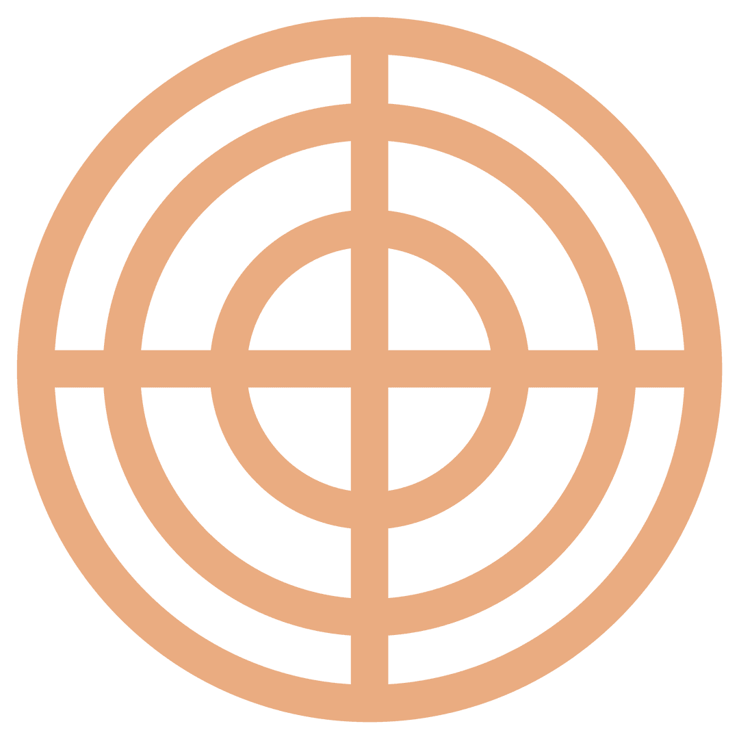 Minimalist Target Icon with Orange Rings on Transparent Background