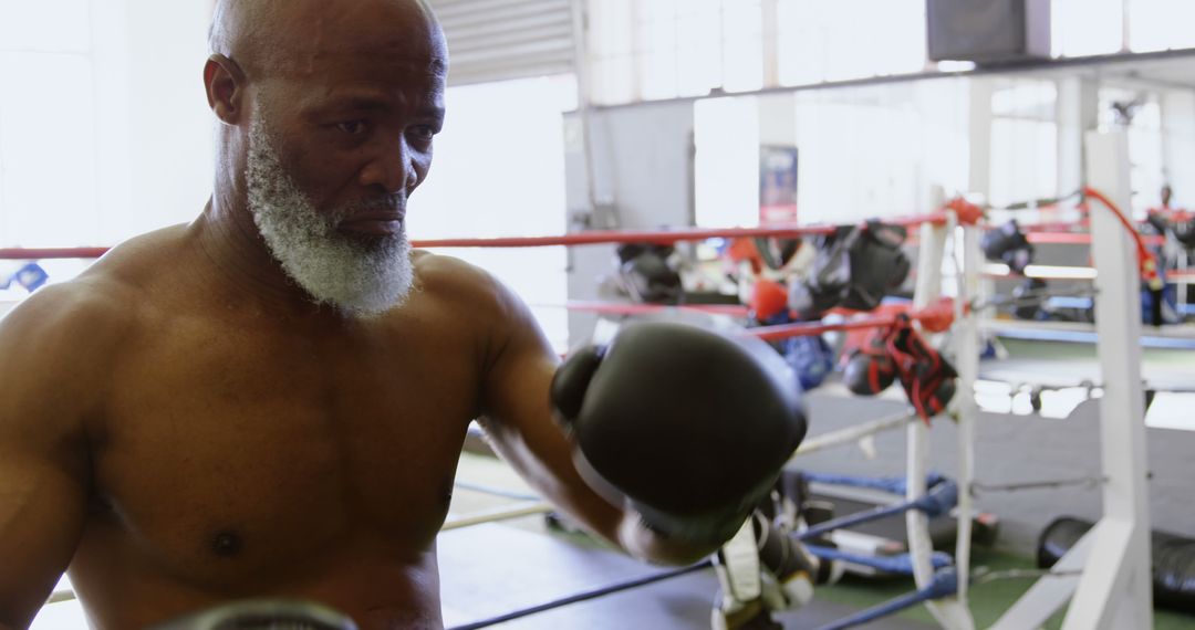 Senior Man Boxing in Gym with Focused Expression - Free Images, Stock Photos and Pictures on Pikwizard.com