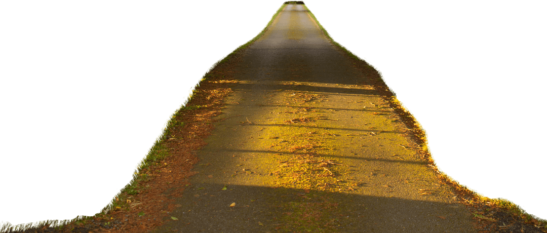 Transparent Road with Sunlight Shadows Creating a Glowing Pathway