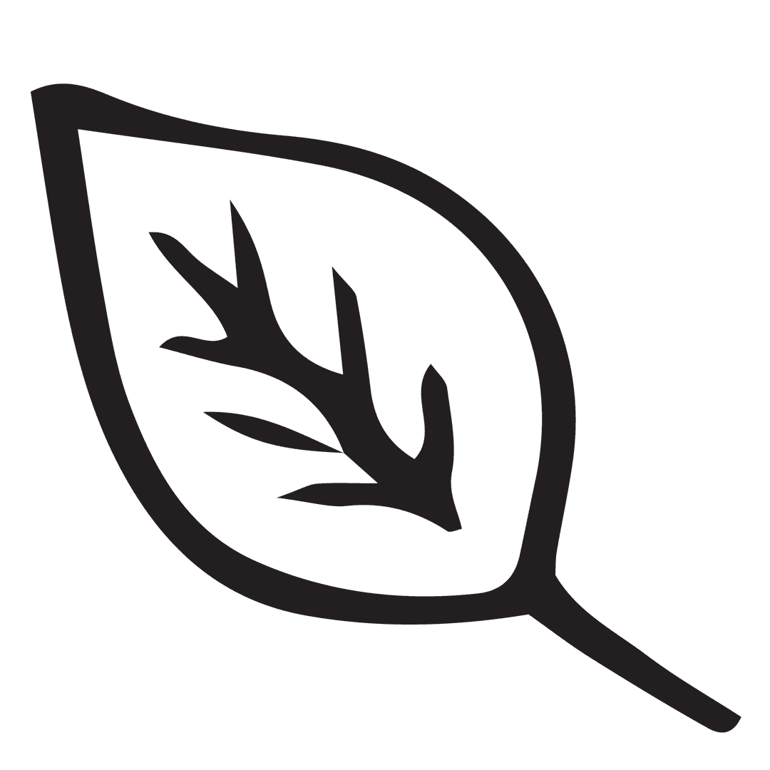 Black Leaf Illustration on Transparent Background