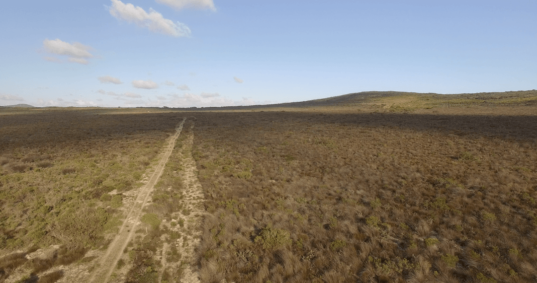 Scenic Transparent Landscape of Dry Plains Under Clear Sky