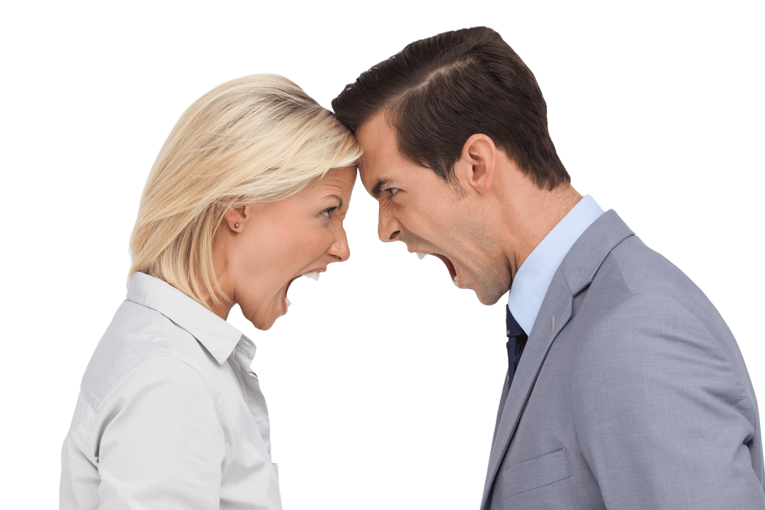 Business Colleagues Angry Argument Facing Off Transparent