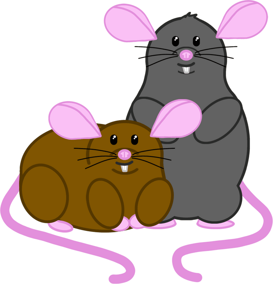 Cute Mice Duo Illustration on Transparent Background