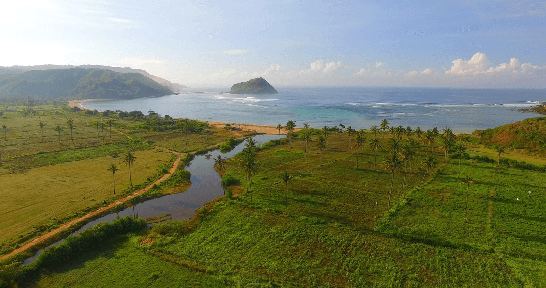 Idyllic River Bay & Pristine Landscape on Transparent Background