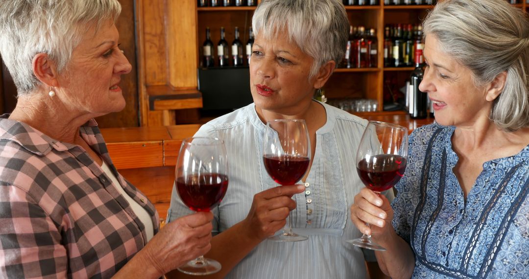 Senior Women Enjoying Red Wine Tasting - Free Images, Stock Photos and Pictures on Pikwizard.com